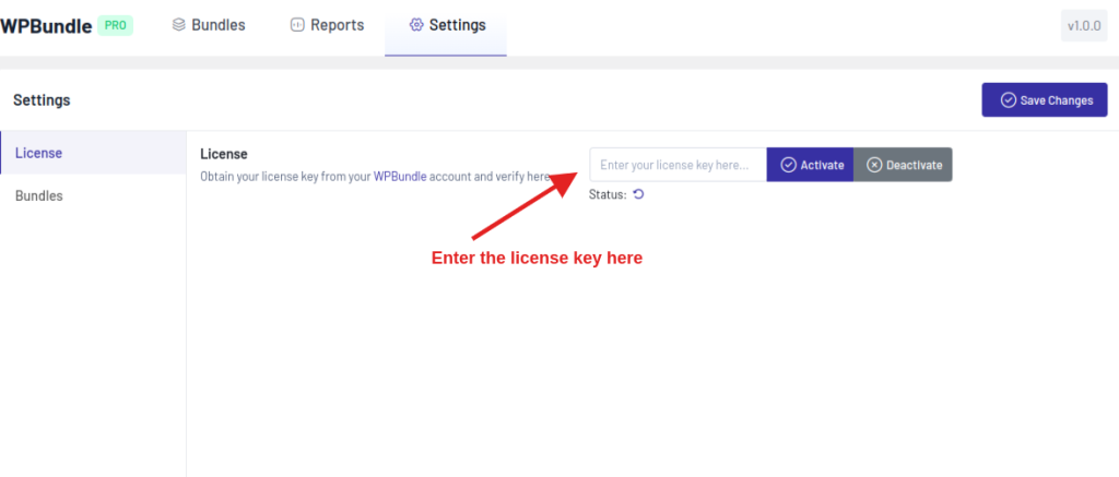 Enter the license key and activate the WPBundle plugin