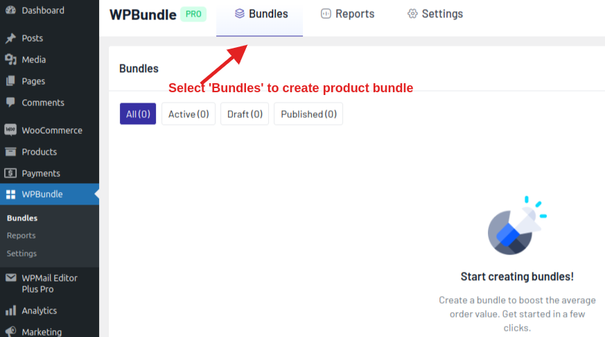 Launch the WPBundle plugin